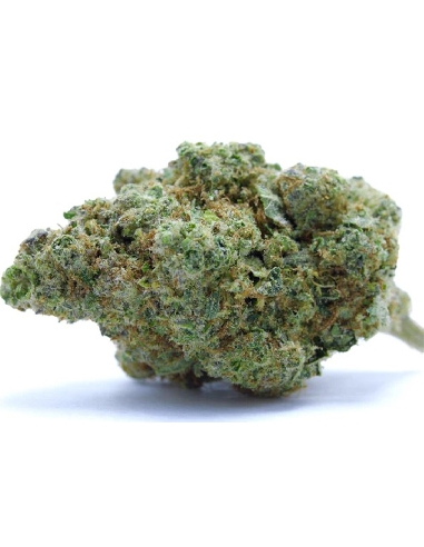 CannaGold Blueberry 9g CBD Indoor