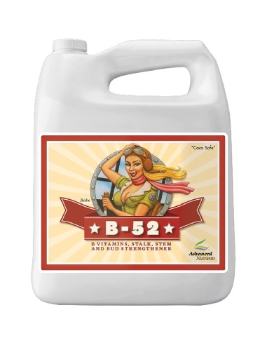 Advanced Nutrients B-52 5L