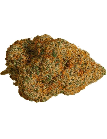 CannaGold Orange Kush 3g CBD Indoor