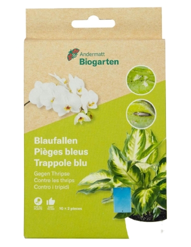 Pièges Bleus Englués Andermatt Biogarten 10 x 2 pces
