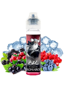 Ragnarok Ultimate A&L 50ml Shortfill