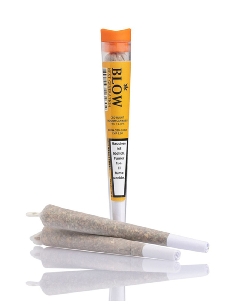 Joint Blow Sweet Haze Cannatonic Orange 1pce