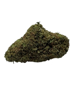 Red City Red Shark Outdoor CBD 15gr