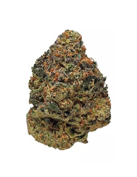 CannaGold Black Cherry Pie 5g Millésime Sélection