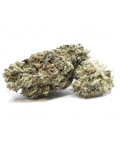 CannaGold Papaya Punch 5g Millésime Sélection