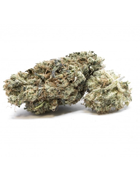 CannaGold Papaya Punch 5g Millésime Sélection