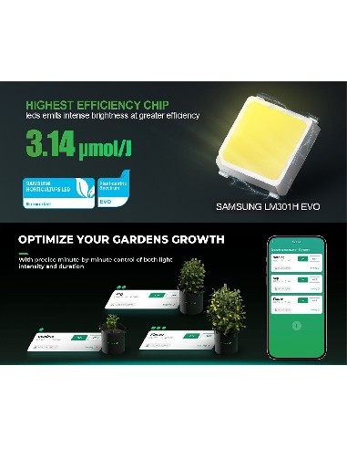 Mars Hydro Smart FC-6500-EVO Samsung LM301H LED 730W