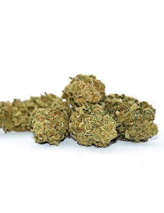 KDC Organic Strawberry Haze CBD 10gr 22%