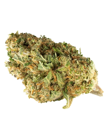 KDC Organic Amnésia CBD 2gr 22%