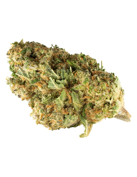 KDC Organic Amnésia CBD 10gr 22%