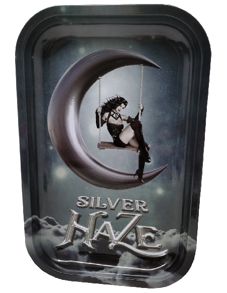 Plateau à Mix Silver Haze 29x19cm