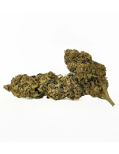 Red City Citrus Glasshousehouse 8gr