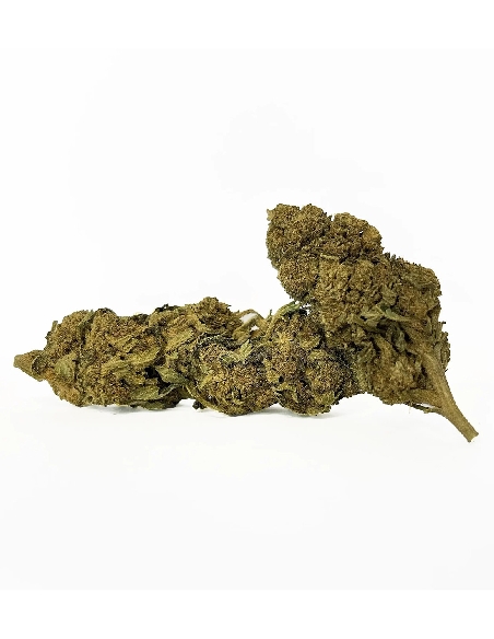 Red City Citrus Glasshousehouse 8gr