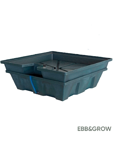 Terra Aquatica EBB & Grow 32 plantes