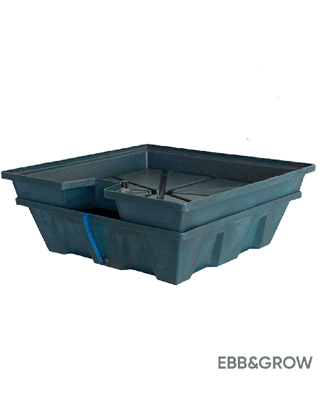 Terra Aquatica EBB & Grow 32 plantes