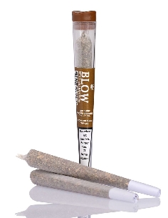 Joint Blow Brown NLX 1pce
