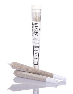Joint Blow White Diesel 1pce