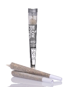 Joint Blow Grey Silver Haze 1pce