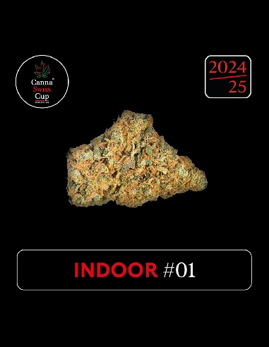 CannaSwissCup indoor 1