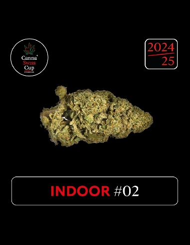 CannaSwissCup indoor 2
