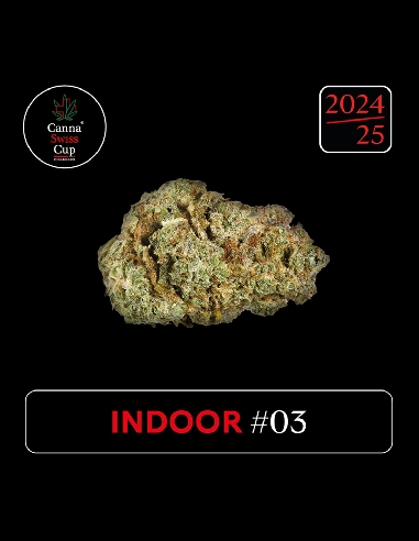 CannaSwissCup Indoor 3