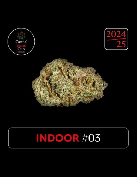 CannaSwissCup Indoor 3