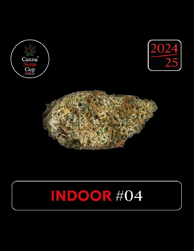 CannaSwissCup Indoor 4