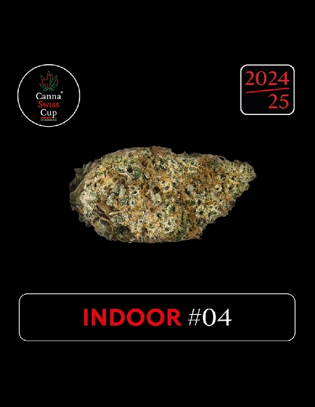 CannaSwissCup Indoor 4