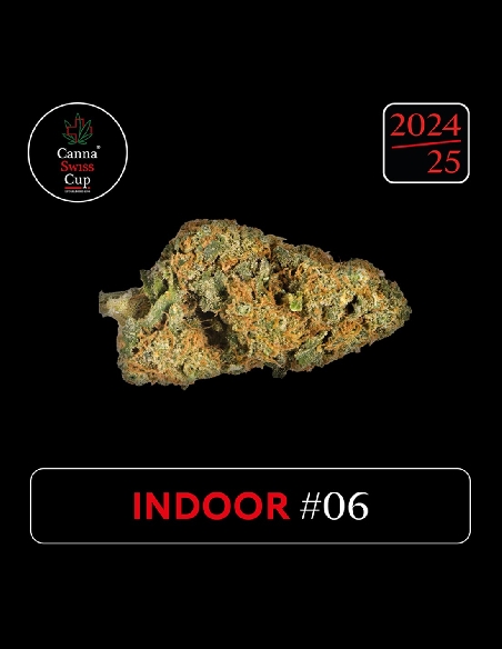 CannaSwissCup indoor 6