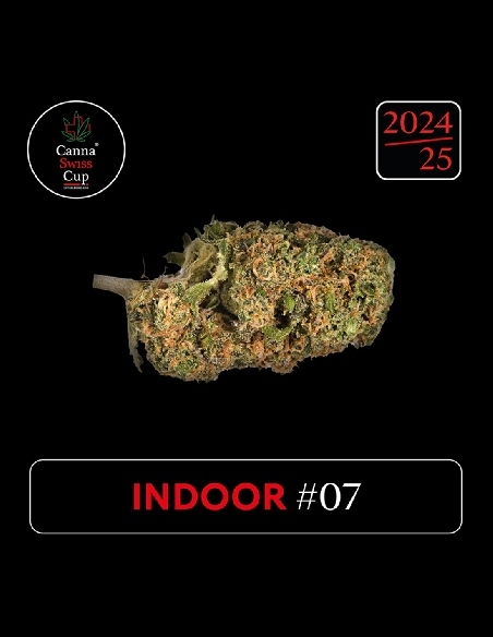 CannaSwissCup indoor 7