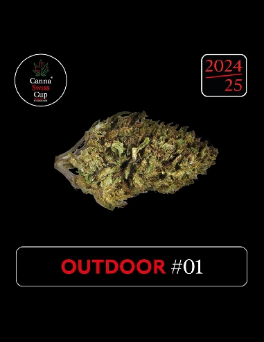 CannaSwissCup outdoor 1