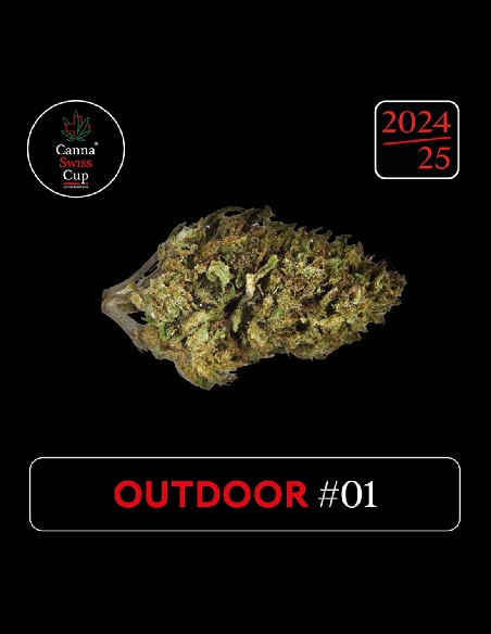 CannaSwissCup outdoor 1