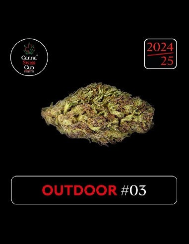 CannaSwissCup outdoor 3