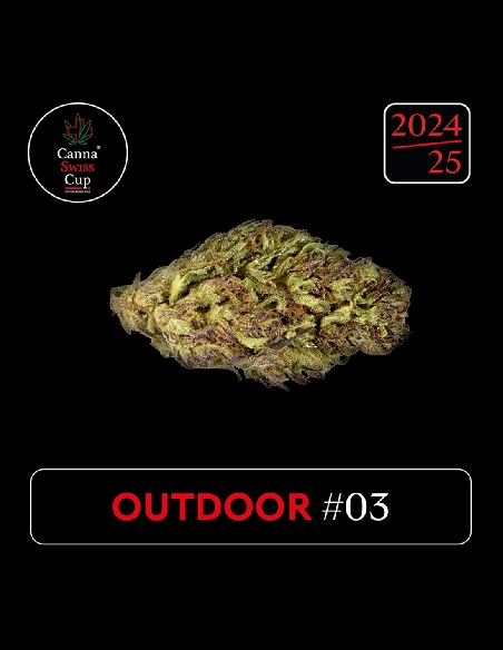 CannaSwissCup outdoor 3