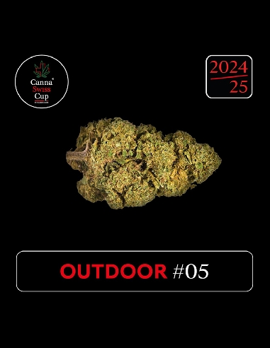 CannaSwissCup outdoor 5