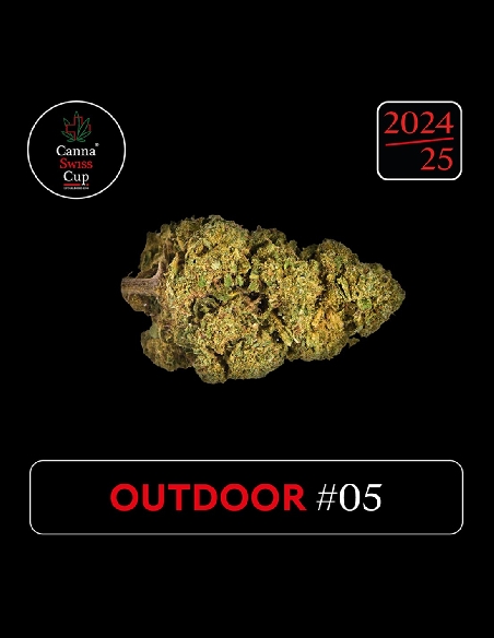 CannaSwissCup outdoor 5