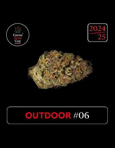 CannaSwissCup outdoor 6