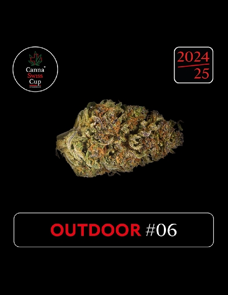 CannaSwissCup outdoor 6