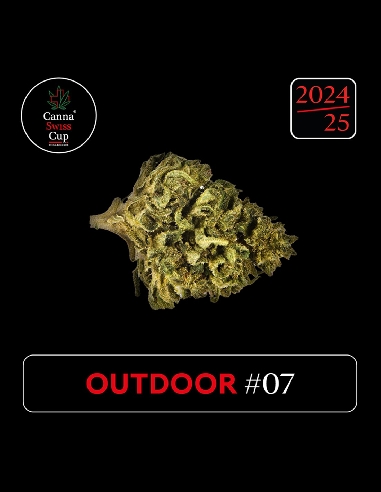 CannaSwissCup outdoor 7