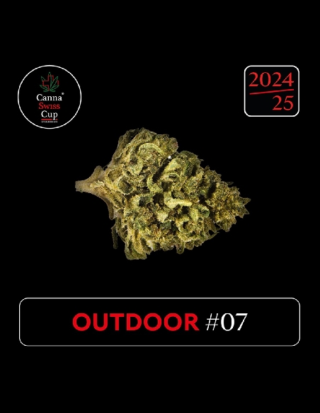 CannaSwissCup outdoor 7