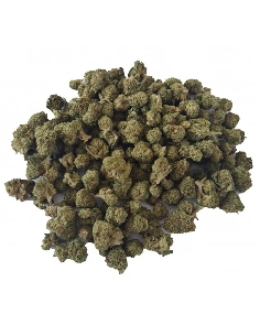 Kaya Mini Buds CBD Plutonium 25gr (Cannabis Légal)