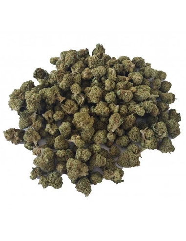 Kaya Mini Buds CBD Plutonium 50gr (Cannabis Légal)