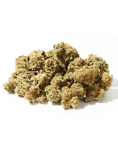 Herba Di Berna Tropical Punch Mini Buds CBD 21gr