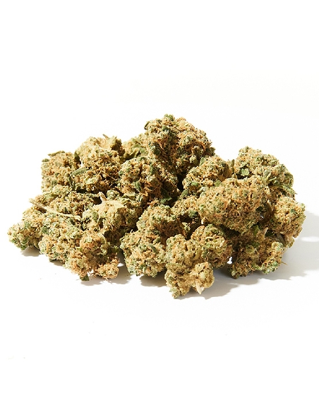 Herba Di Berna Tropical Punch Mini Buds CBD 21gr