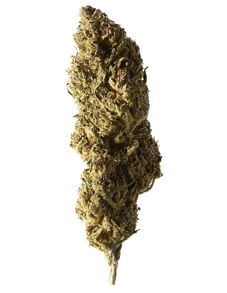 Herba Di Berna Select Rambo du Valais Outdoor CBD 10gr