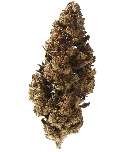 Herba Di Berna Select Strawberry Outdoor CBD 12.5gr