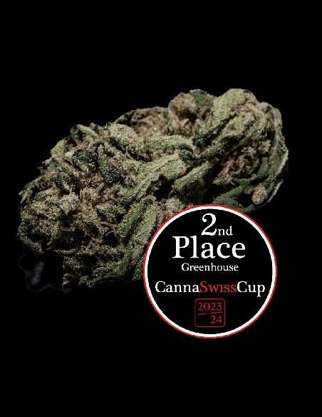 Herba Di Berna Select Strawberry Cheese Cake Greenhouse CBD