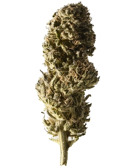 Herba Di Berna Select Strawberry Cheese Cake Greenhouse CBD 7gr-0