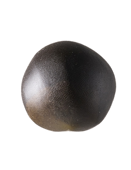 Herba di Berna Select CBD Hash Trichoselect Black Gold LamaWeed 5gr