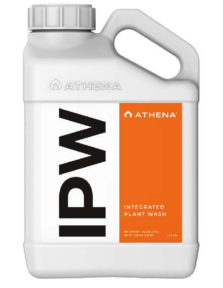 Athena IPW 3.78l